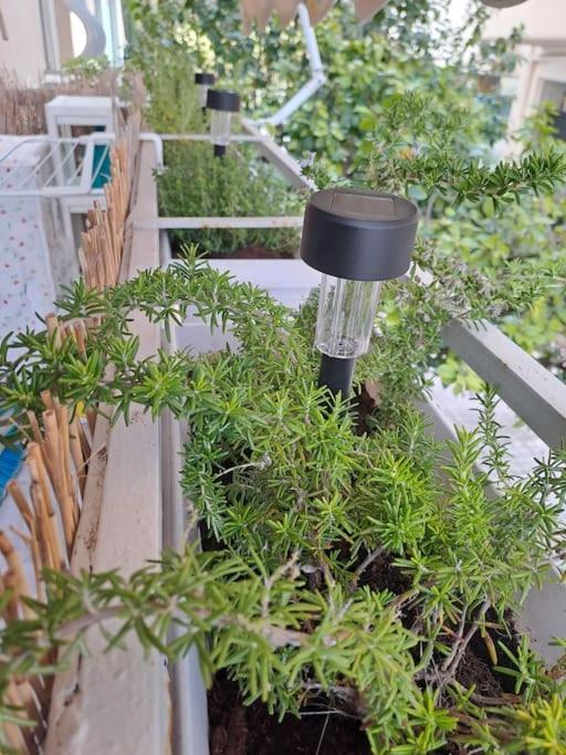 Δίπλα Στο Πάρκο Apartman Kalamáta Kültér fotó