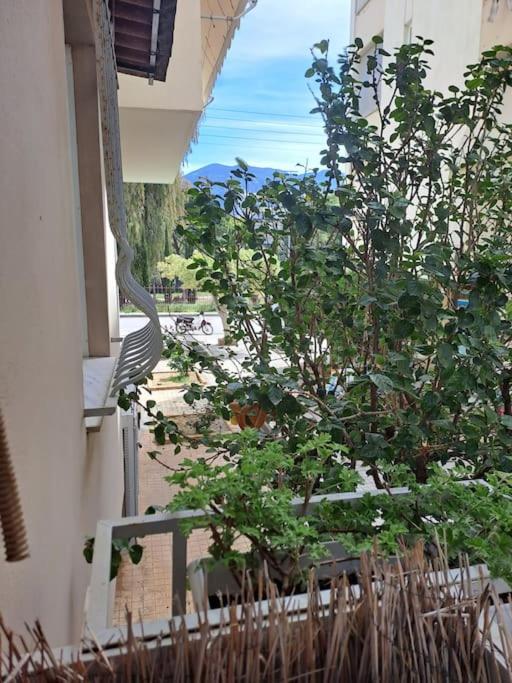 Δίπλα Στο Πάρκο Apartman Kalamáta Kültér fotó